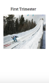 skier